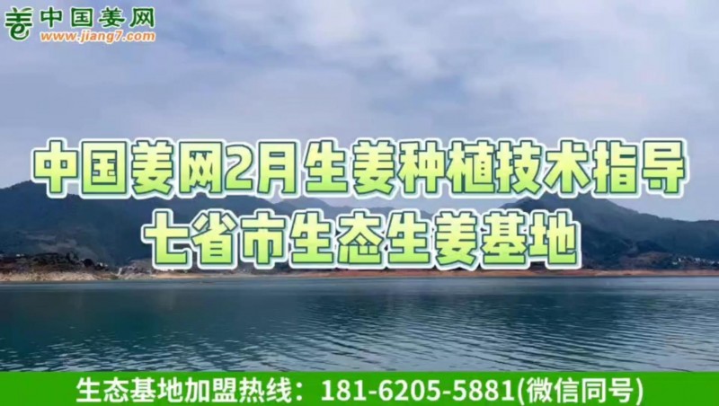 2022年七省市生姜调研指导