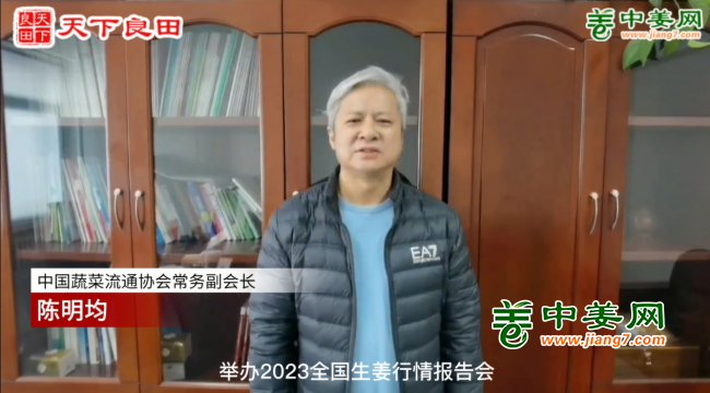 2023’全国生姜行情报告会暨生态种植增产技术高
