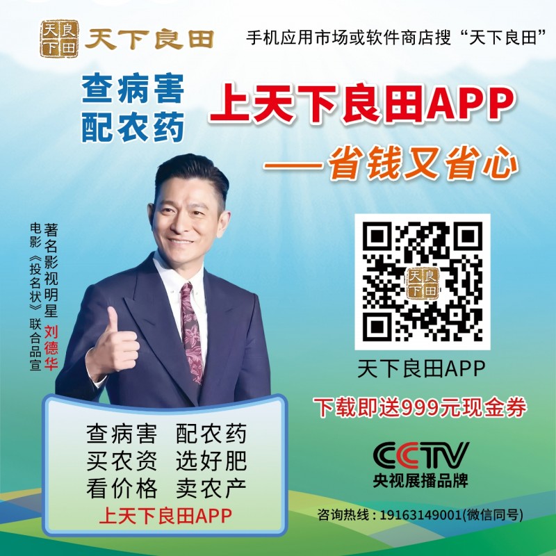 微信图片_20250705214926